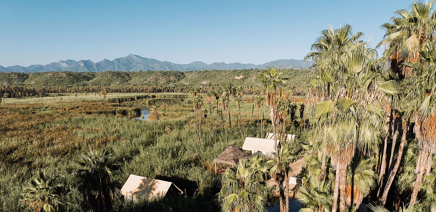 imagen de santiago baja california sur by Amet